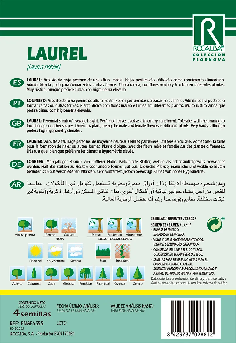 Semilla Laurel -laurus Nobilis- — foto 2