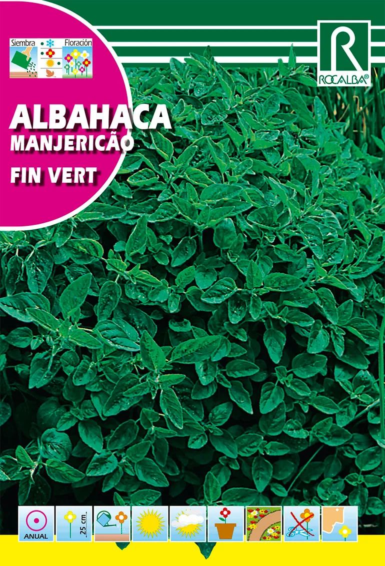 Semilla Albahaca Fin Vert