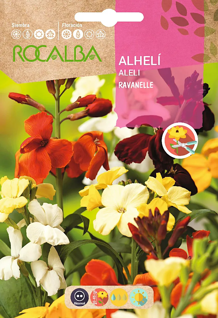 Semilla Alheli Ravanelle Variado