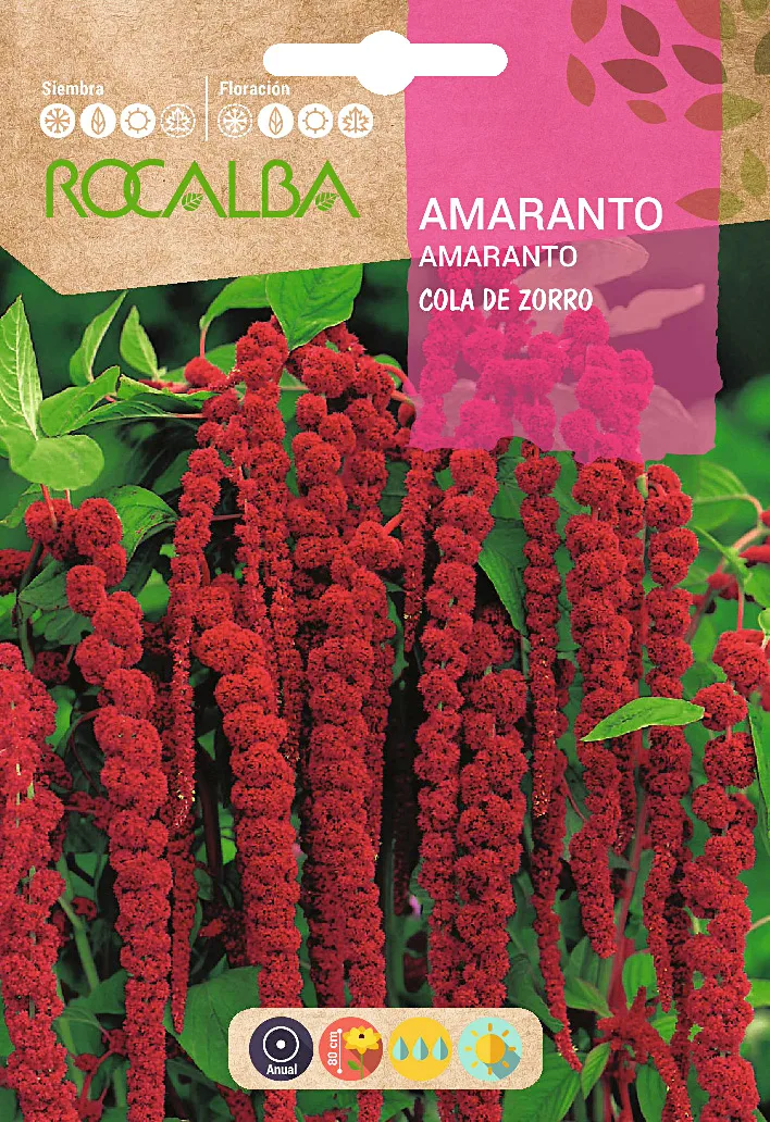 Semilla Amaranto Cola de Zorro