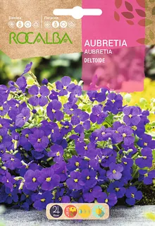 Semilla Aubretia Deltoide Purpura Violeta