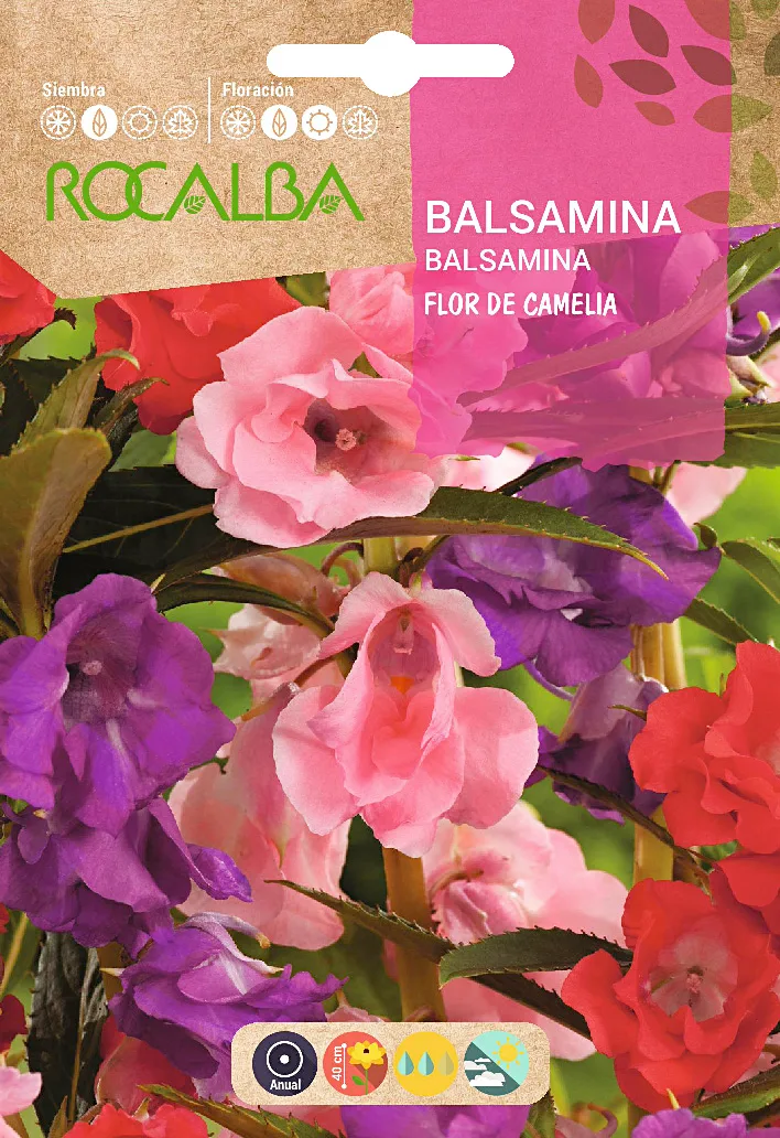 Semilla Balsamina Flor de Camelia Variada