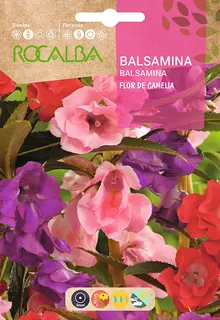 Semilla Balsamina Flor de Camelia Variada