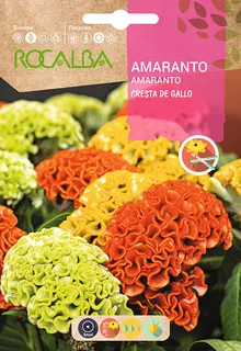 Semilla Amaranto Cresta de Gallo Variado