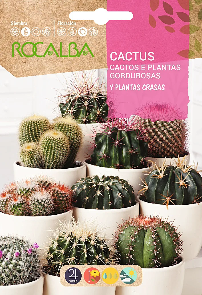 Semilla Cactus y Plantas Grasas Variado — foto principal