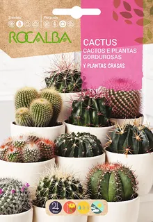 Semilla Cactus y Plantas Grasas Variado