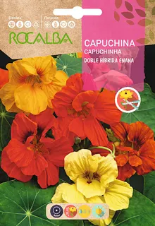 Semilla Capuchina Doble Hib Enana Variada