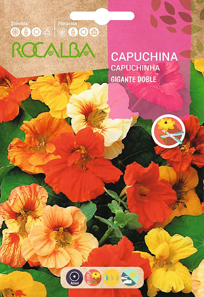 Semilla Capuchina Gigante Doble Variada
