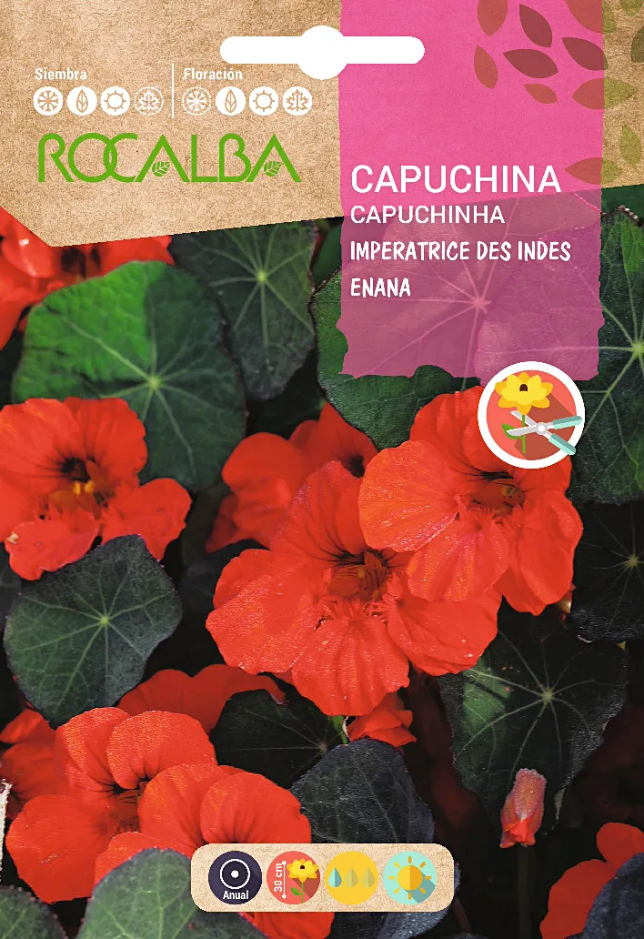 Semilla Capuchina Imperatrice Des Indes Enana