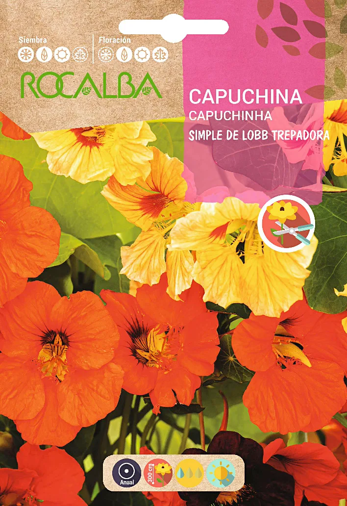 Semilla Capuchina Simple de Lobb Trepadora
