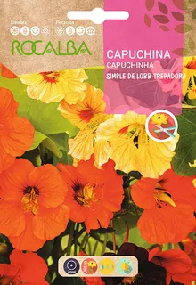 Semilla Capuchina Simple de Lobb Trepadora