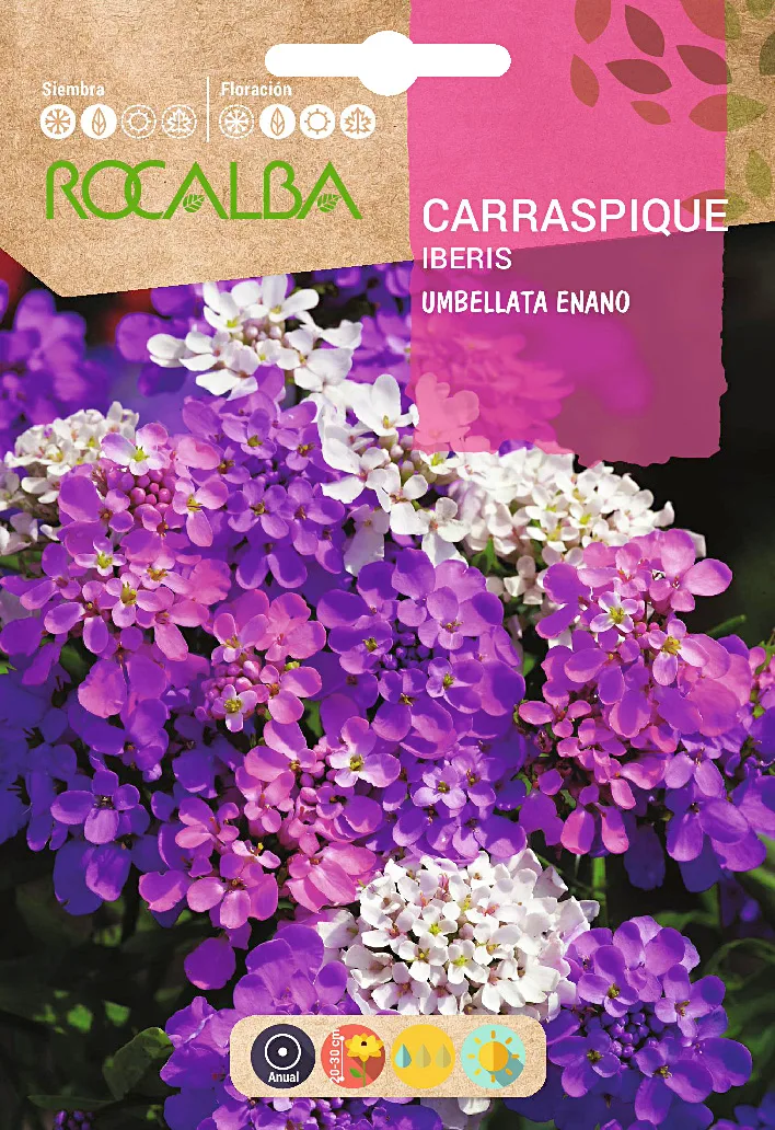 Semilla Carraspique Umbellata Enano Variado