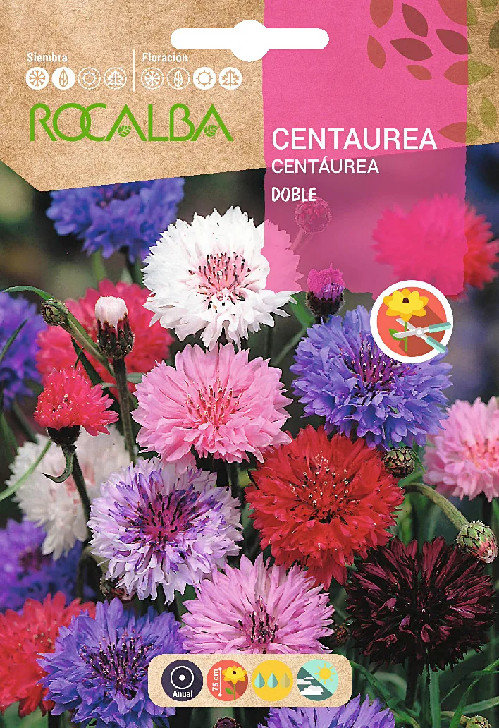Semilla Centaurea Doble Variada
