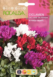 Semilla Ciclamen de Persia Gigante, Variado