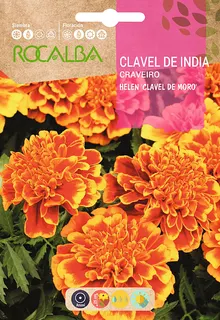 Semilla Clavel de China Helen Doble Enano