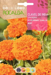 Semilla Clavel de India Petite Orange D. Verano