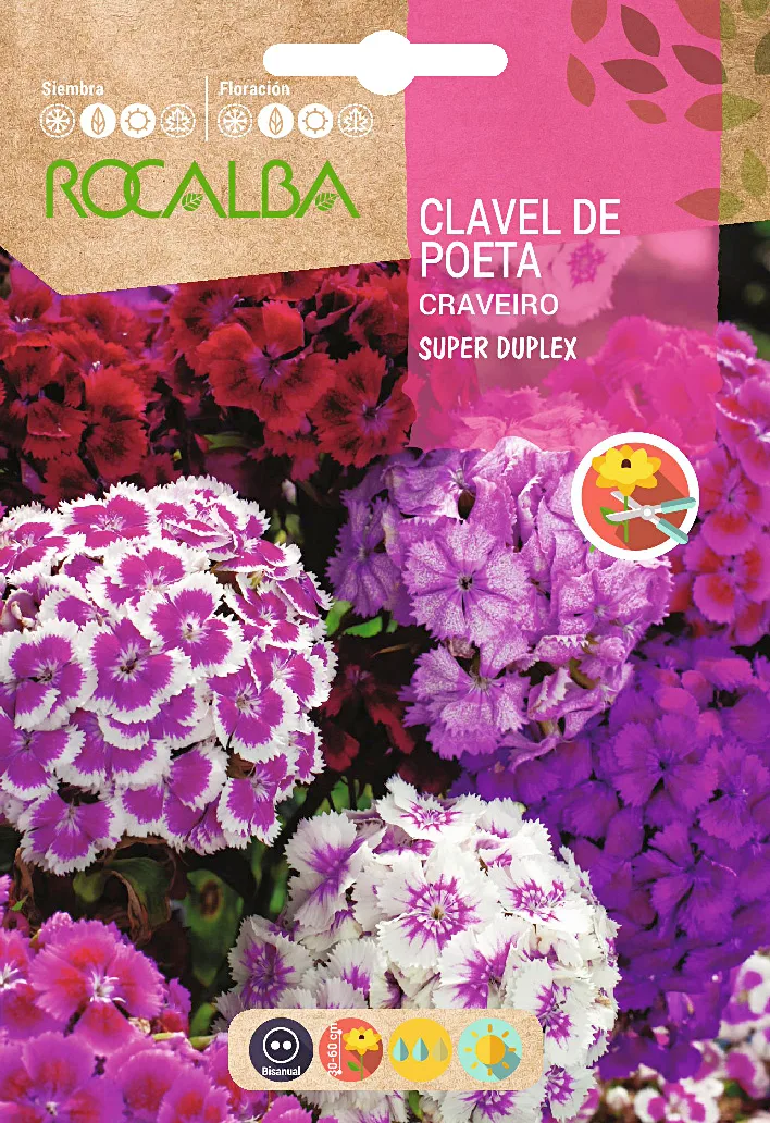 Semilla Clavel de Poeta Super Duplex Variado