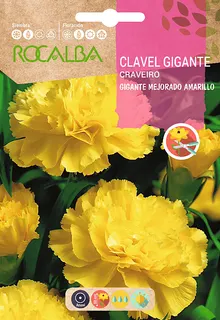 Semilla Clavel Gigante Mejorado, Amarillo