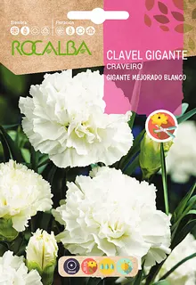 Semilla Clavel Gigante Mejorado Blanco