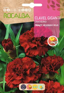 Semilla Clavel Gigante Mejorado, Rojo