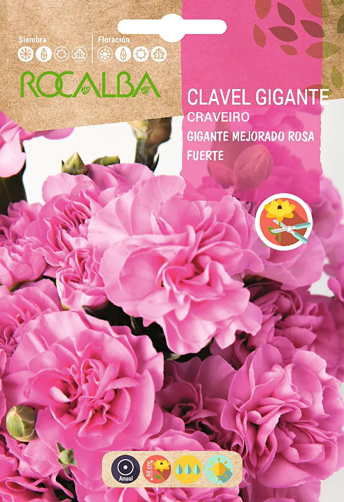 Semilla Clavel Gigante Mejorado Rosa Fuerte