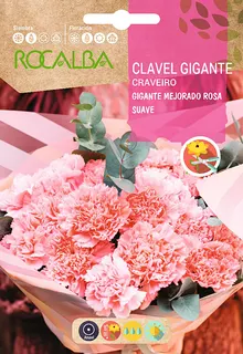 Semilla Clavel Gigante Mejorado Rosa Suave