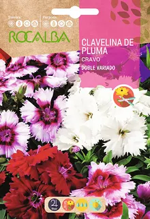Semilla Clavel Plumario Doble Variado