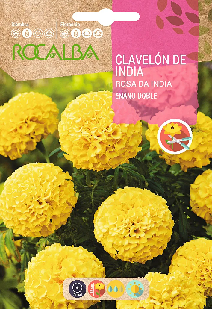 Semilla Clavelon Rosa de India Enano Doble,amar.