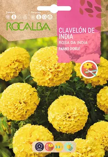 Semilla Clavelon Rosa de India Enano Doble,amar.