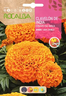 Semilla Clavelon Rosa de India Hawai 100% Doble