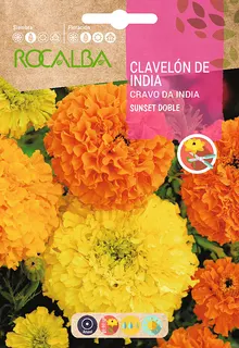 Semilla Clavelon Rosa India Sunset D.grande,var.