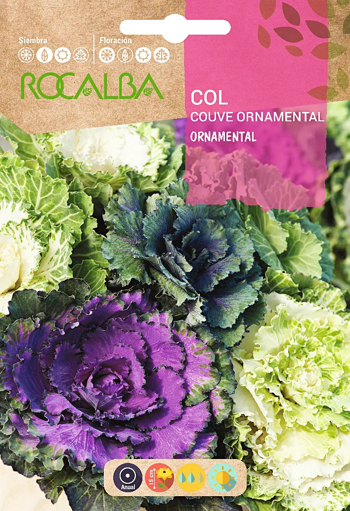 Semilla Col Ornamental Variada