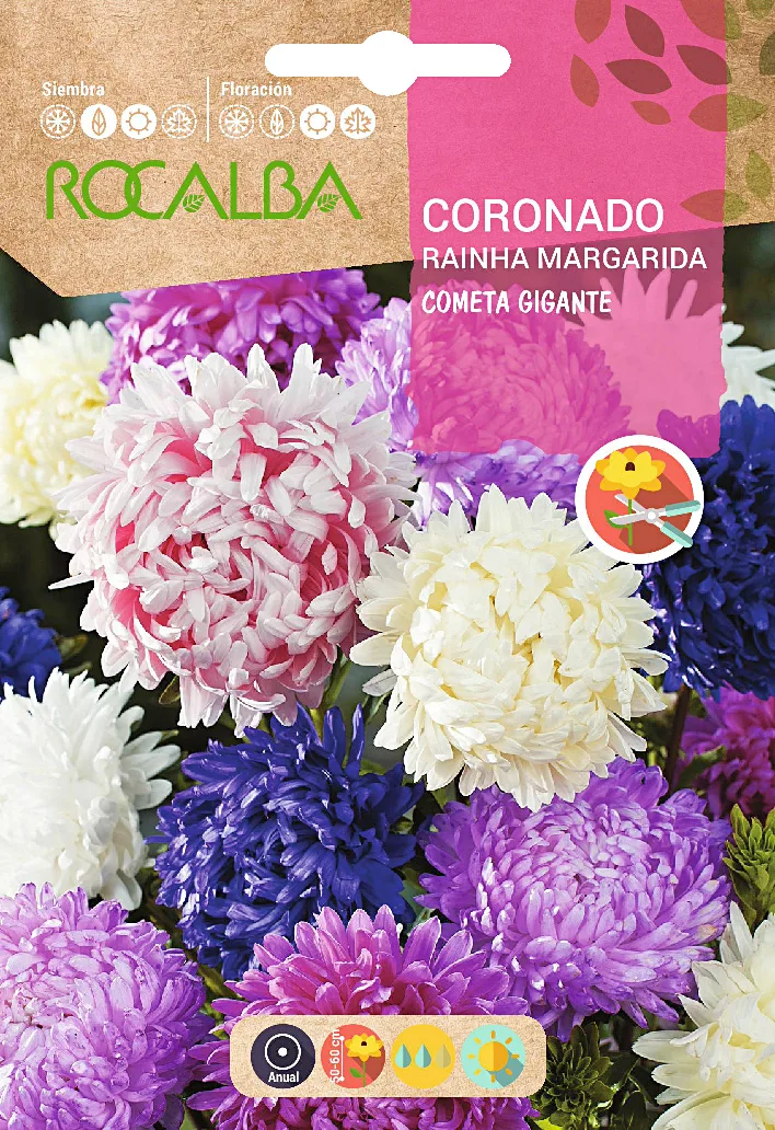 Semilla Coronado Cometa Gigante Variado