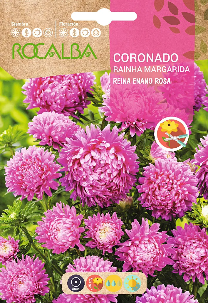 Semilla Coronado Reina Enano