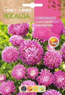 Semilla Coronado Reina Enano