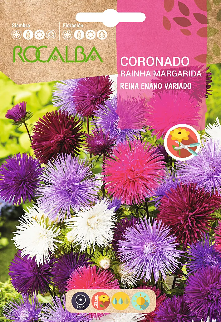 Semilla Coronado Reina Enano Variado