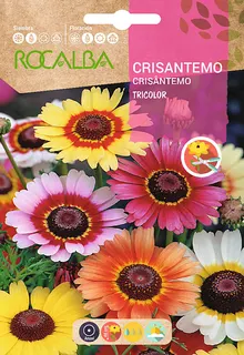Semilla Crisantemo Tricolor Variado