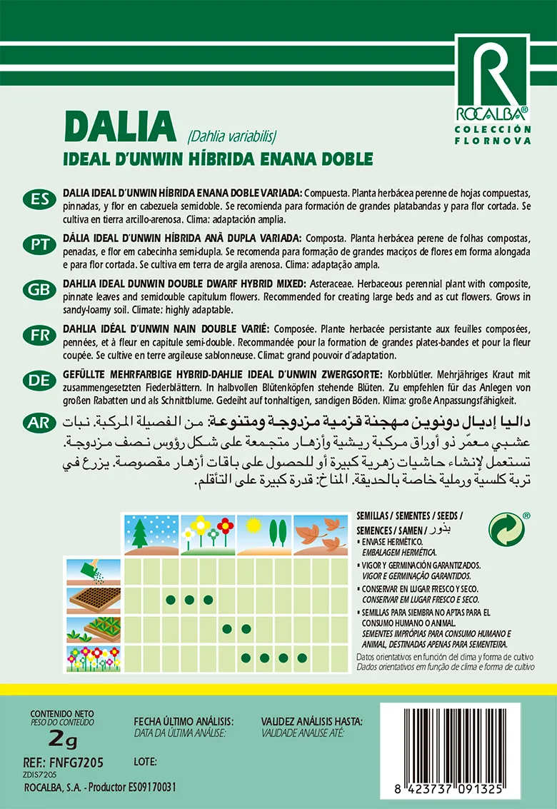 Semilla Dalia Ideal Dunwin Hib. Enana Variada — foto 2