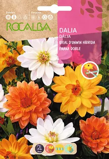 Semilla Dalia Ideal Dunwin Hib. Enana Variada