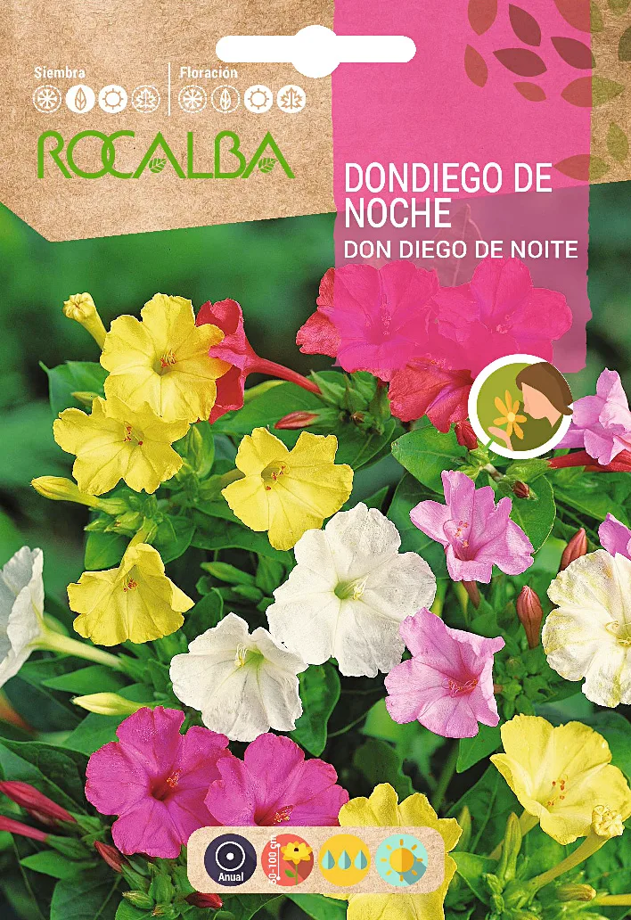 Semilla Don Diego de Noche Variado — foto principal