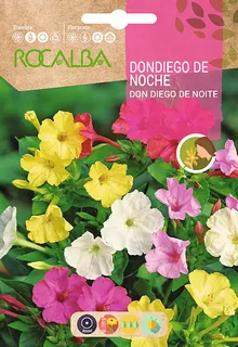 Semilla Don Diego de Noche Variado