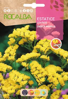 Semilla Estatice Sinuata Amarillo