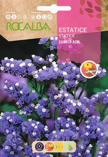 Semilla Estatice Sinata Azul