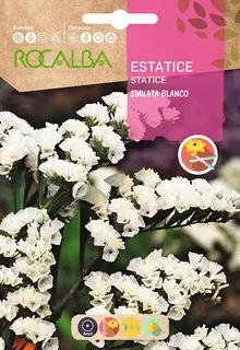 Semilla Estatice Sinuata Blanco