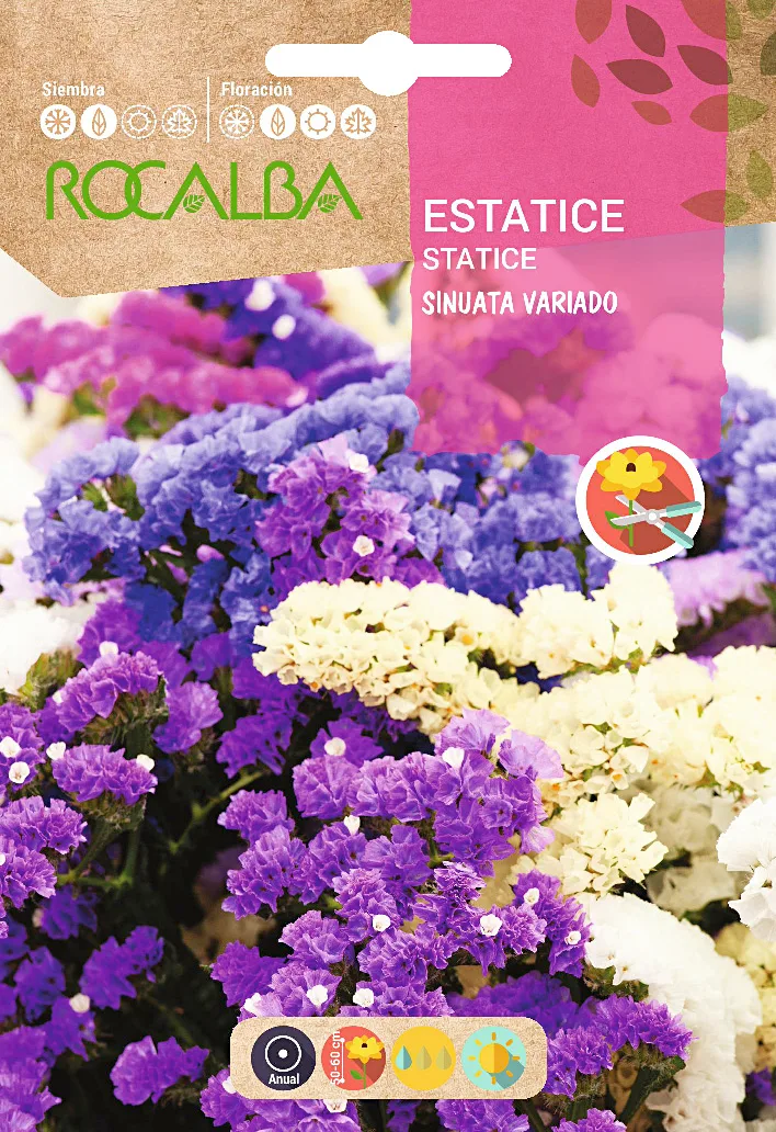 Semilla Estatice Sinuata Variada