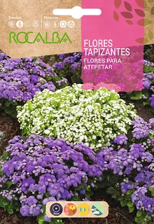 Semilla Flores Tapizantes