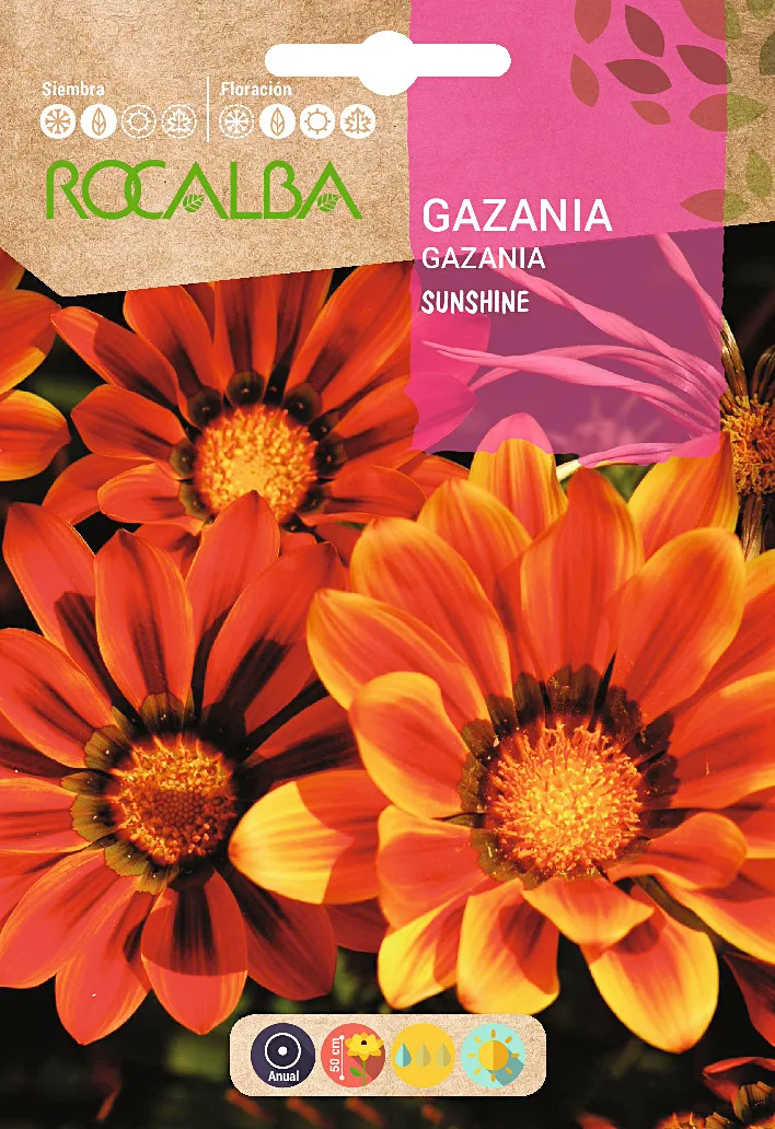 Semilla Gazania Sunshine, Mezcla Floristas