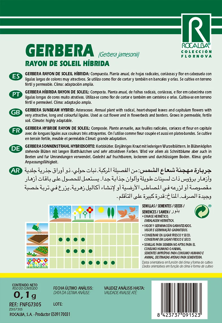 Semilla Gerbera Rayon de Soleil Hibrida — foto 2