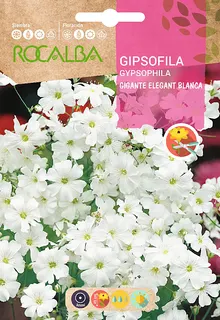 Semilla Gipsofilia Gigante Elegant. blanca