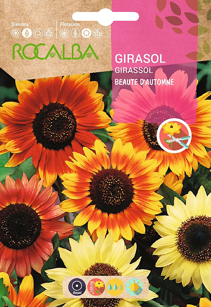Semilla Girasol Beaute Dautomne Variado